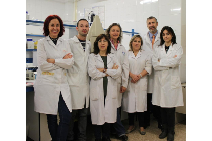 Dolores Busto, tercera por la izquierda, junto al resto del grupo de investigación de Bioquímica y Biotecnología de la Universidad de Burgos. ECB