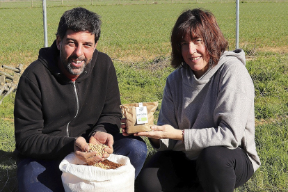 Javier Álvarez y Rocío Gangoso muestran sus garbanzos en la misma tierra donde los cultivan  / JOSÉ LUIS CABRERO
