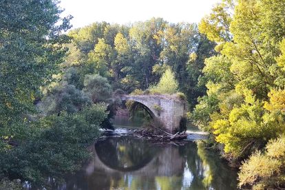 6 de marzo de 2023. Puente medieval de Reinoso de Cerrato (Palencia). HISPANIA NOSTRA