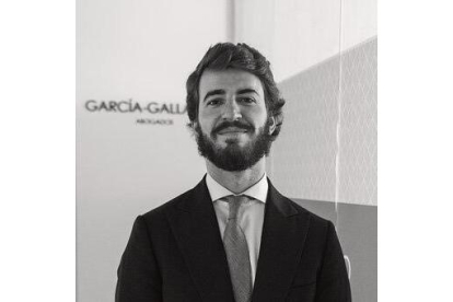 El candidato de Vox, Juan García-Gallardo. - EM
