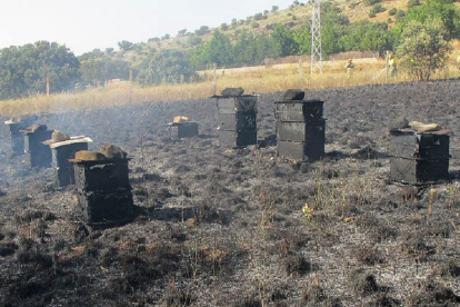 Incendio forestal por el la Guardia Civil investiga a una persona por un supuesto delito de imprudencia grave - ICAL