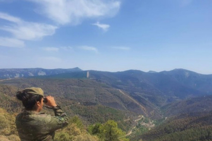 Militar del Ejército de Tierra en la operación de lucha contra incendios en Castilla y León - EJÉRCITO DE TIERRA
