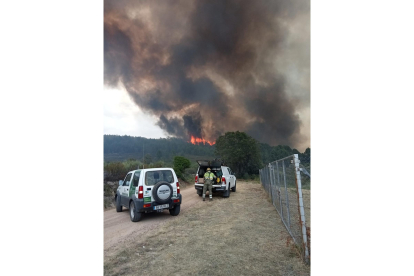 Incendio en el término municipal de Miranda del Castañar (Salamanca).- E. M.