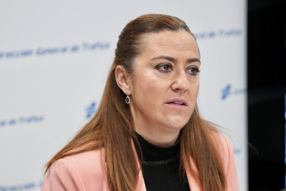 La delegada del Gobierno en Castilla y León, Virginia Barcones, durante la rueda de prensa. ICAL