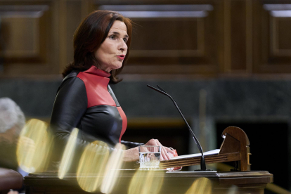 La diputada del PSOE, María Luz Martínez Seijo, interviene en una sesión plenaria en el Congreso de los Diputados. EP