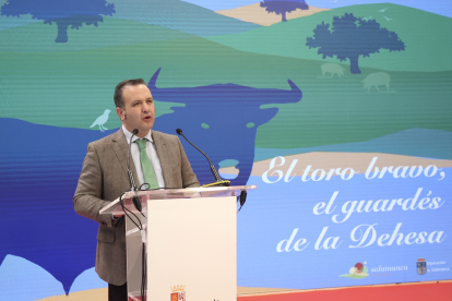 El diputado de Turismo de Salamanca, Javier García Hidalgo, presenta el programa de actividades “El toro bravo, el guardés de la dehesa”. / ICAL