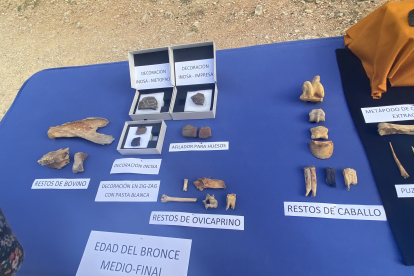 Algunos de los hallazgos más recientes en Atapuerca .-TWITTER FUNDACIÓN ATAPUERCA