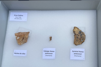 Algunos de los hallazgos más recientes en Atapuerca .-TWITTER FUNDACIÓN ATAPUERCA