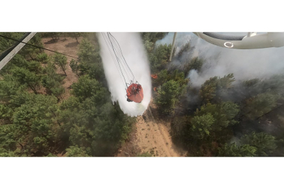 Incendio en Sierra de la Culebra (Zamora).- JCYL