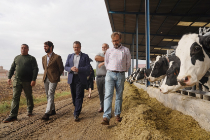 El vicepresidente de la Junta, Juan García-Gallardo, en su visita las instalaciones de la explotación de ganado bovino para la producción de leche de El Cantón.- ICAL