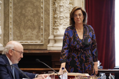 Ángeles Armisén, reelegida como presidenta de la Diputación de Palencia.- ICAL