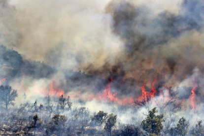 Incendio en Losacio (Zamora). ICAL
