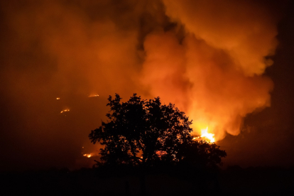 Incendio forestal de Monsagro en el término municipal de Tenebrón en Salamanca. - ICAL