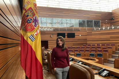 Fátima Pinacho, nueva portavoz de Vox en las Cortes.- ICAL