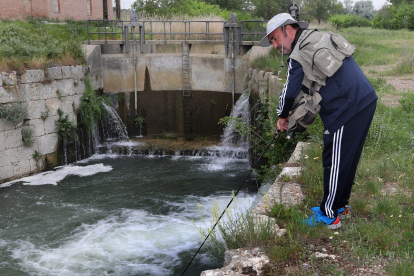 El pescador José Salazar en el Canal de Castilla en Palencia.- ICAL