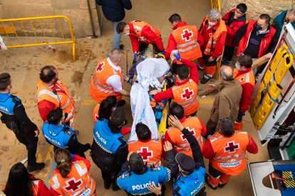 Las asistencias sanitarias atienden al hombre corneado en Ciudad Rodrigo en Salamanca. ICAL