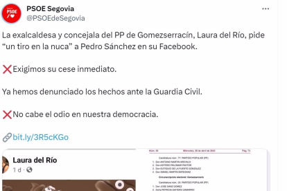 Publicación en 'X' del PSOE de Segovia - PSOE