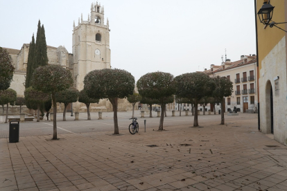 Calima sobre Palencia
La ciudad de Palencia ha amanecido cubierta de polvo procedente de África, en la imagen  paviemento de la plaza de la Imanculada cubierto de polvo