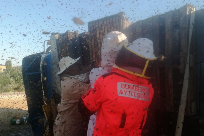 Imagen de los bomberos en la intervención para retirar los panales de abejas - AYTO SORIA