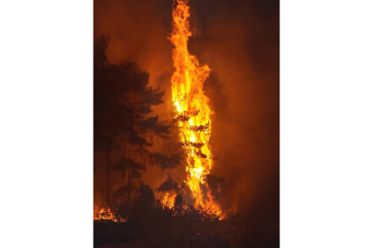 Incendio en San Bartolomé de Rueda  en la provincia de León. ICAL
