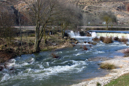 Río Ucero a su paso por el Burgo de Osma. TURISMO DE OBSERVACIÓN