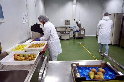 Un proyecto del Itacyl aplica la innovación tecnológica a la fruta de El Bierzo.- ICAL