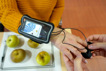 Un proyecto del Itacyl aplica la innovación tecnológica a la fruta de El Bierzo.- ICAL