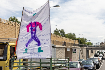 La Plataforma de Ganaderos Unidos se manifiesta por las calles de Salamanca para reclamar un cambio en el plan nacional sanitario de control de enfermedades en bovino.- ICAL