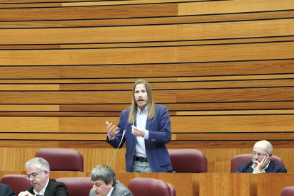 El procurador de Unidas Podemos, Pablo Fernández, durante el pleno de las Cortes.- ICAL