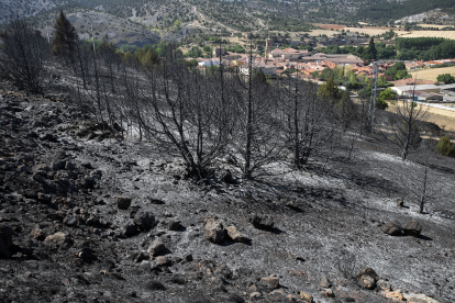 Efectos del incendio en varios pueblos de la comarca del Arlanza en Burgos.- ICAL