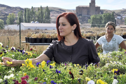 Laura Carrera dirige una empresa especializada en flores dedicadas a la alimentación.- L.A.T.