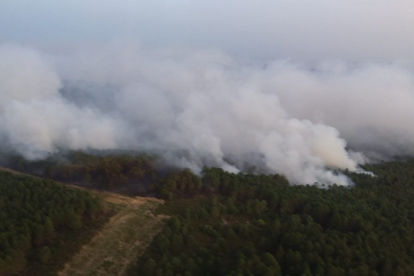 Frente del incendio en la Sierra de la Culebra en Zamora.