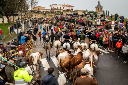Encierro del Carnaval del Toro de Ciudad Rodrigo este domingo. -ICAL