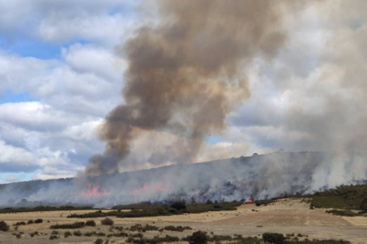 Incendio que afecta a la zona de Palazuelo de las Cuevas (Zamora) - JCYL