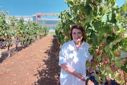 Josita Martín Berdugo tiene 87 hectáreas de viñedo en Aranda de Duero. ECB