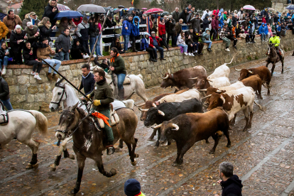 Encierro del Carnaval del Toro de Ciudad Rodrigo este domingo. -ICAL