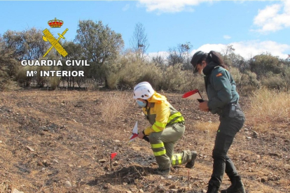 Agentes del Seprona de la Guardia Civil trabajan sobre el terreno del incendio en Lober de Aliste, en Zamora. - GUARDIA CIVIL