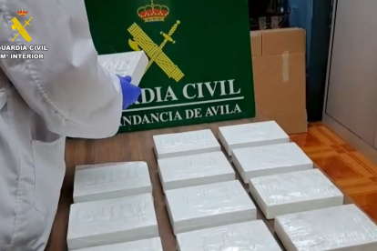 Incautación de 12 kilos de cocaína con el sello del Cártel de Jalisco.- E. M.