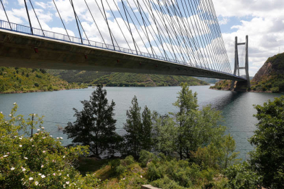 Vista del Puente Ingeniero Fernández Casado de León, en época primaveral. - LEÓN PROYECTA