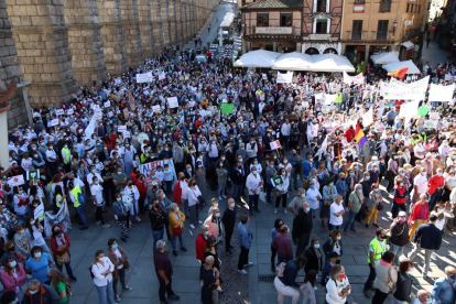Cientos de personas concentradas por la sanidad rural de calidad en la Plaza del Azoguejo de Segovia.- PSOE
