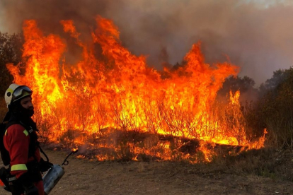 Un bombero de Valladolid en las tareas de extinción de incendios en Zamora.- E. M.