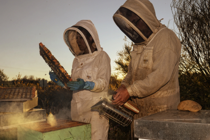 Leticia y Alberto González Cármenes cuentan con 700 colmenas en entornos sin contaminación.  / LA POSADA