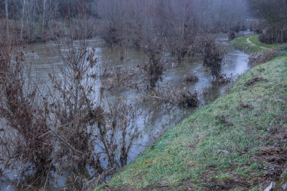 Uno de los ríos afectados por la borrasca Juan. -JUAN_GGALLARDO