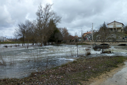 El río Ucero a su paso por Burgo de Osma. / ICAL