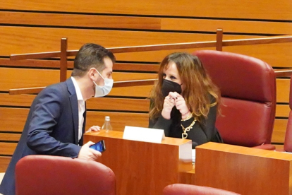 Los socialistas Luis Tudanca y Patricia Gómez durante el Pleno de las Cortes de los Presupuestos Generales de la Comunidad. / ICAL