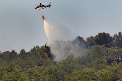 Incendio forestal en Astudillo (Palencia) ICAL