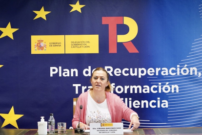 La delegada del Gobierno en Castilla y León, Virginia Barcones.- ICAL