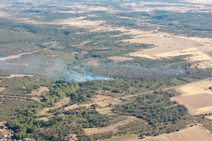 Incendio forestal en Bercianos de Aliste (Zamora) - JCYL