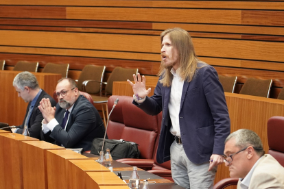 El procurador de Podemos en las Cortes, Pablo Fernández.- ICAL