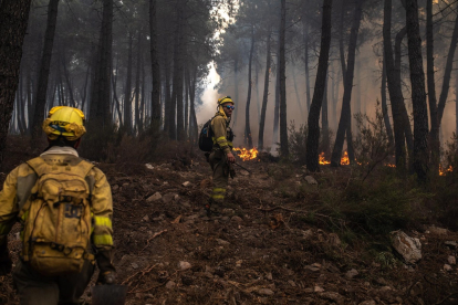 incendios en la Sierra de la Culebra, en Zamora.- E. PRESS